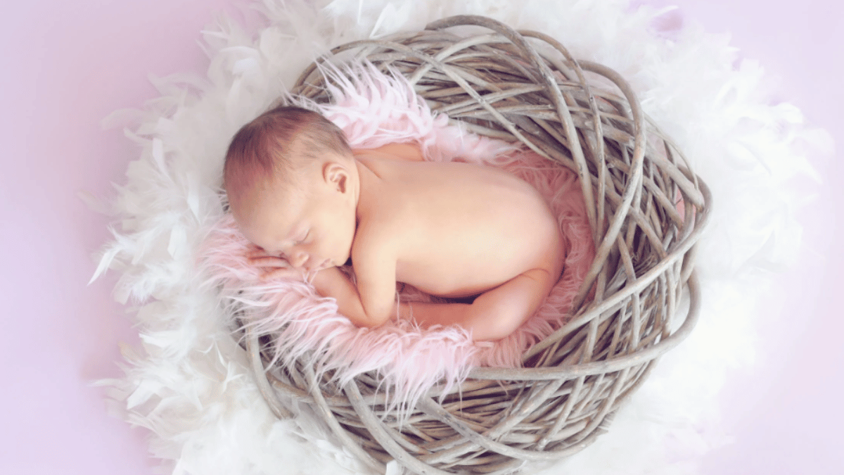 family-decorates-entire-mohalla-with-balloons-to-welcome-baby-girl-viral-photo-melts-internet