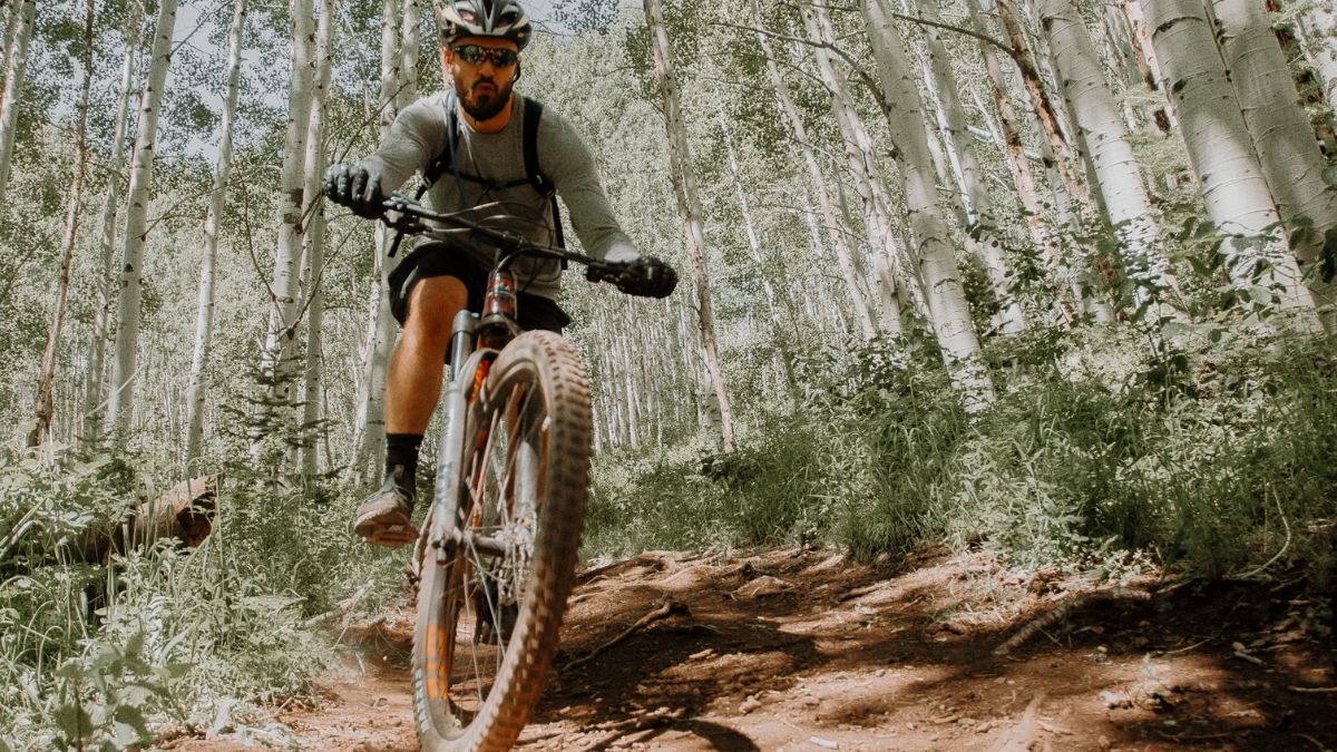 The Pros and Cons of Sizing Up or Sizing Down Your Mountain Bike Frame -  Singletracks Mountain Bike News