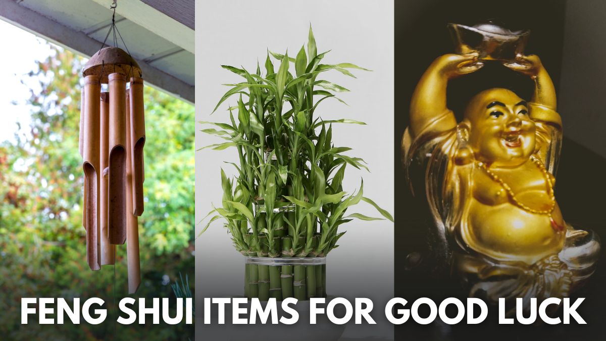 6-must-have-feng-shui-items-that-remove-negativity-from-your-living-space