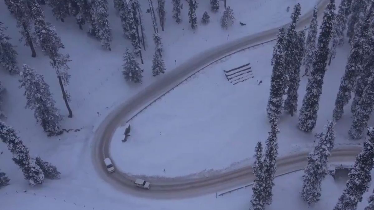 kashmir-weather-update-tourists-rejoice-snowfall-as-kashmir-turns-into-winter-wonderland-video