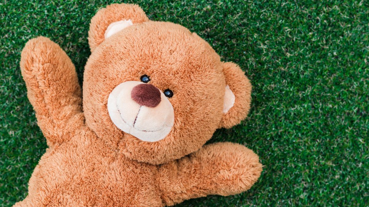 Happy Teddy Day 2024 Wishes Messages Quotes Whatsapp And Facebook