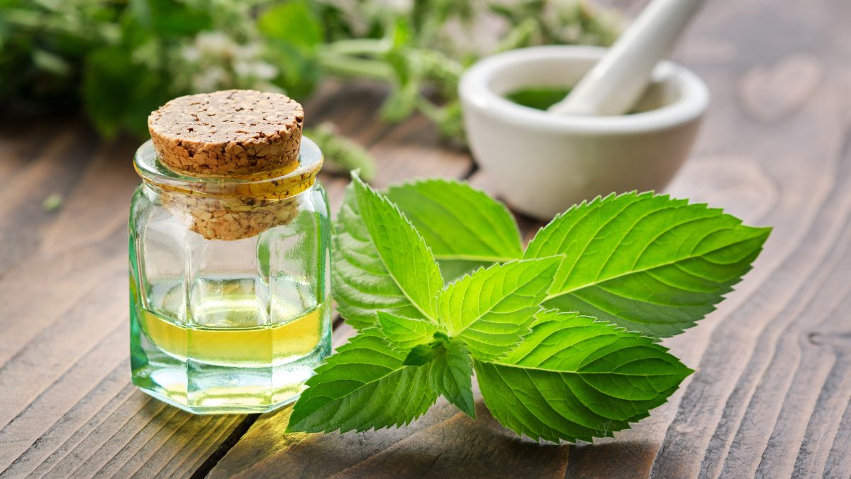 5-benefits-of-adding-mint-leaves-to-your-diet