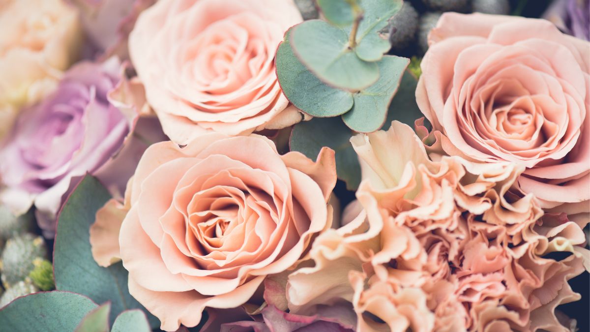 5-reasons-you-must-give-flowers-as-a-gift-to-your-loved-ones