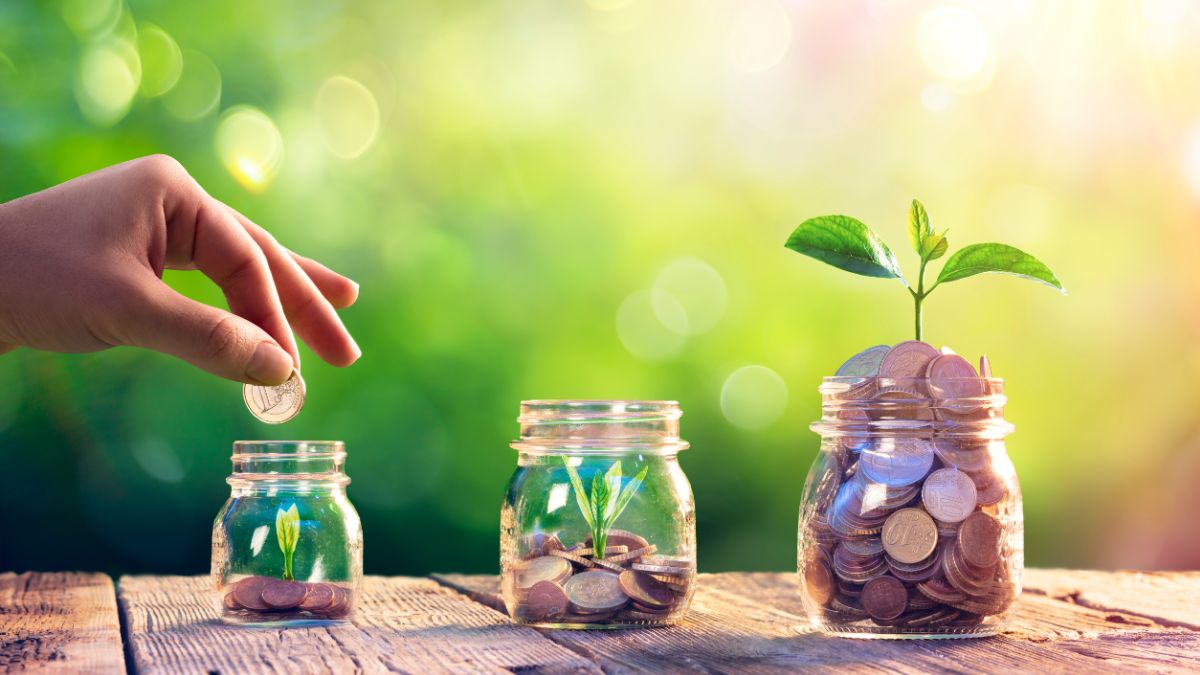 5-simple-tips-to-grow-a-healthy-money-plant-and-how-to-take-care-of-it
