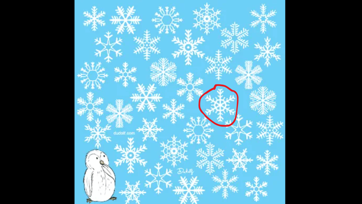 Spot the unique Snowflake in under 10 seconds. (Source: GREGORY DUDAS DUDOLF)