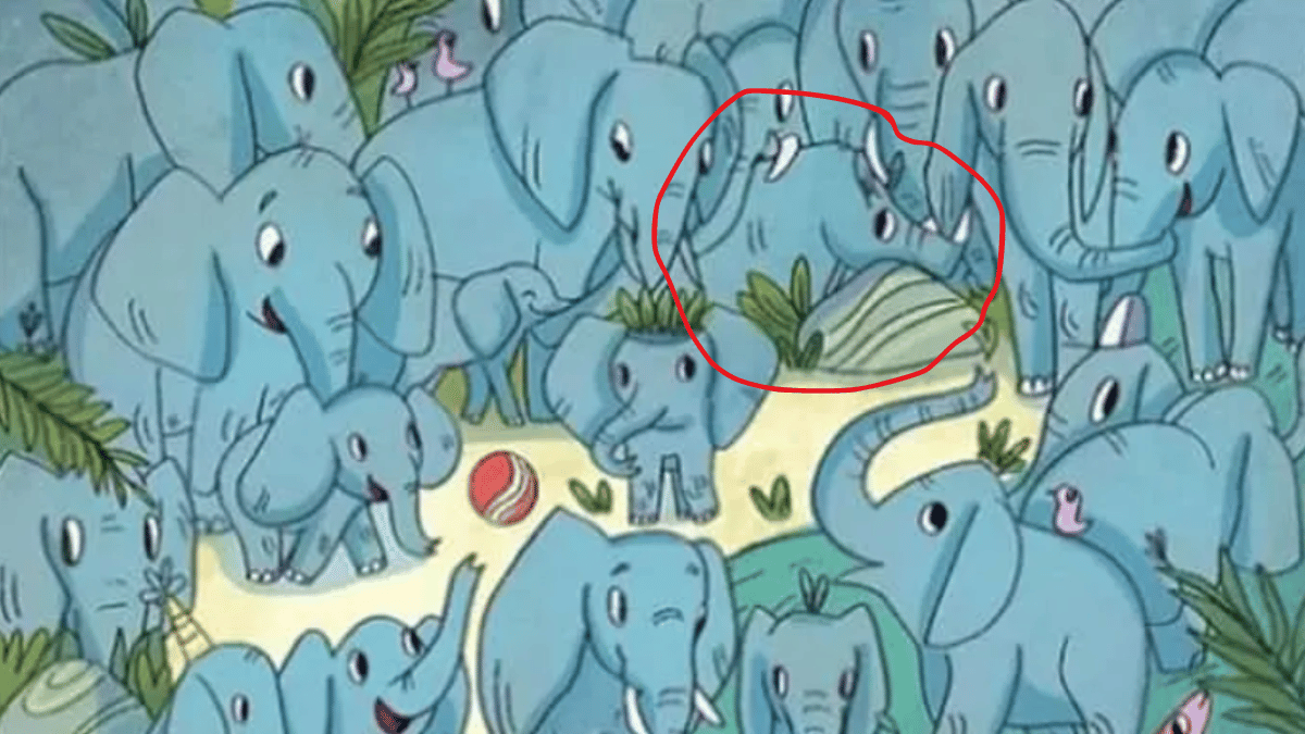 Spot the Rhino in under 10 seconds. (Source: The Sun)