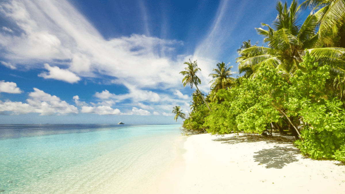 Representative Image (Source: Pexels)