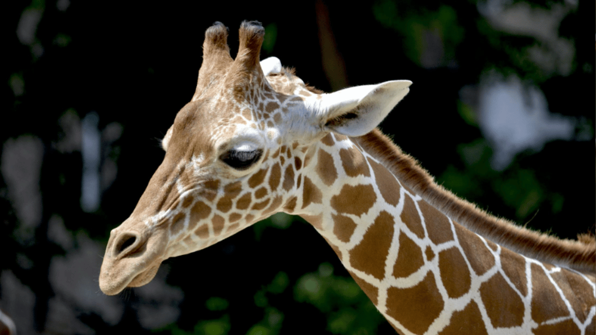 Representative Image (Source: Pexels)