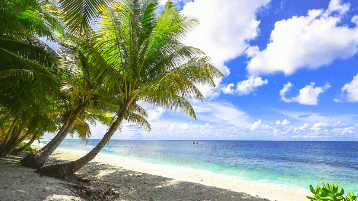 Representative Image (Source: Pexels)