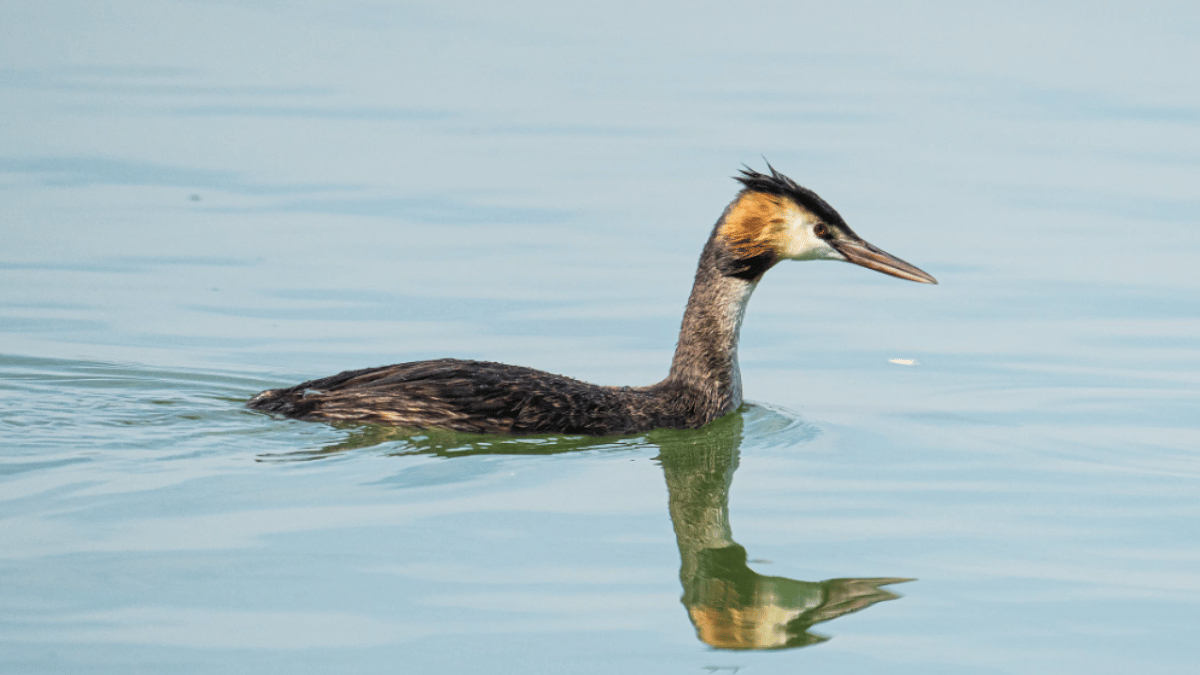 Representative Image (Source: Pexels)