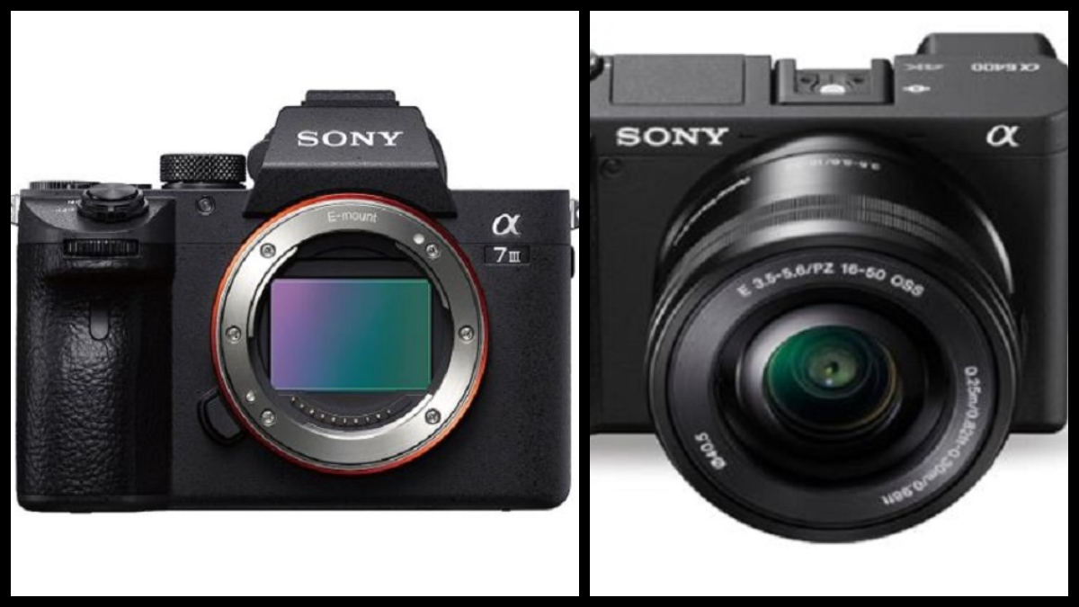 Sony Mirrorless Cameras For Professional Photography