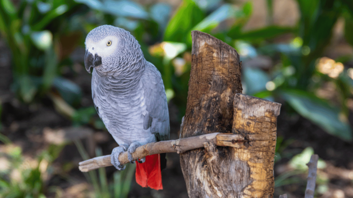 Representative Image (Source: Pexels)