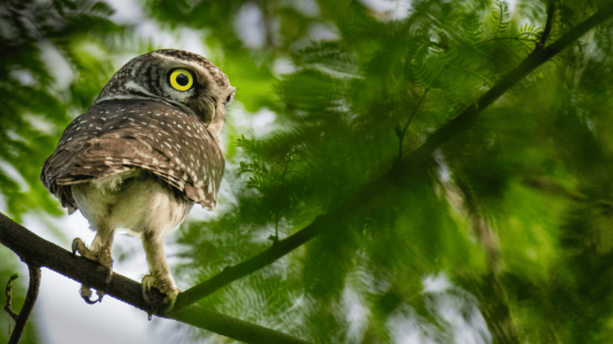 Representative Image (Source: Pexels)