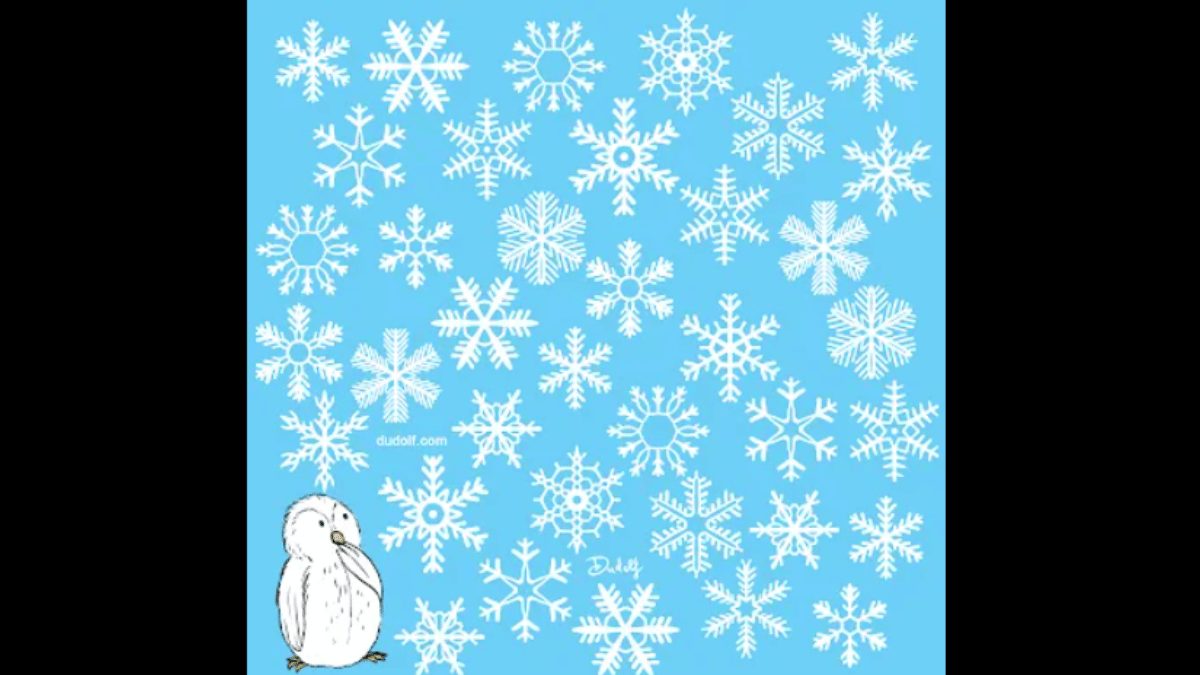 are-you-smart-enough-for-this-challenge-spot-the-unique-snowflake-in-under-10-seconds
