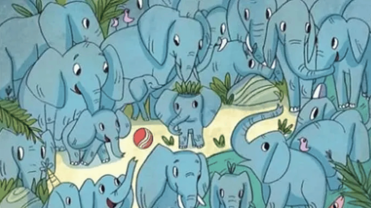 Spot the Rhino in under 10 seconds. (Source: The Sun)