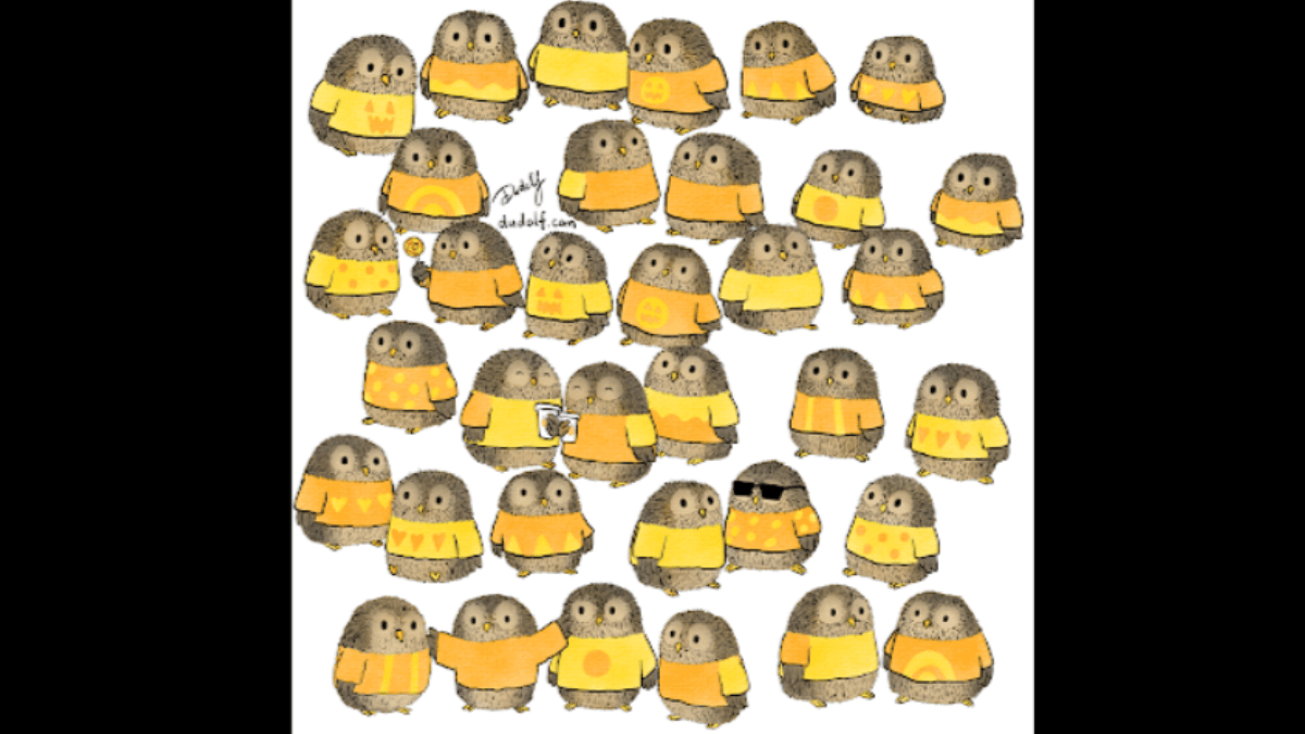 are-you-sharp-enough-to-spot-the-baby-owl-with-unique-sweater-in-under-15-seconds