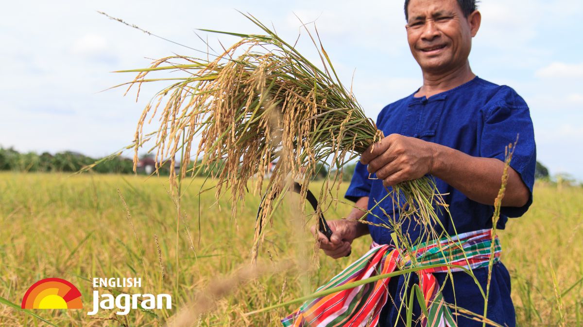 PM Kisan Mandhan Scheme: Farmers Get Rs 3000 Monthly, Over 19 Lakh ...