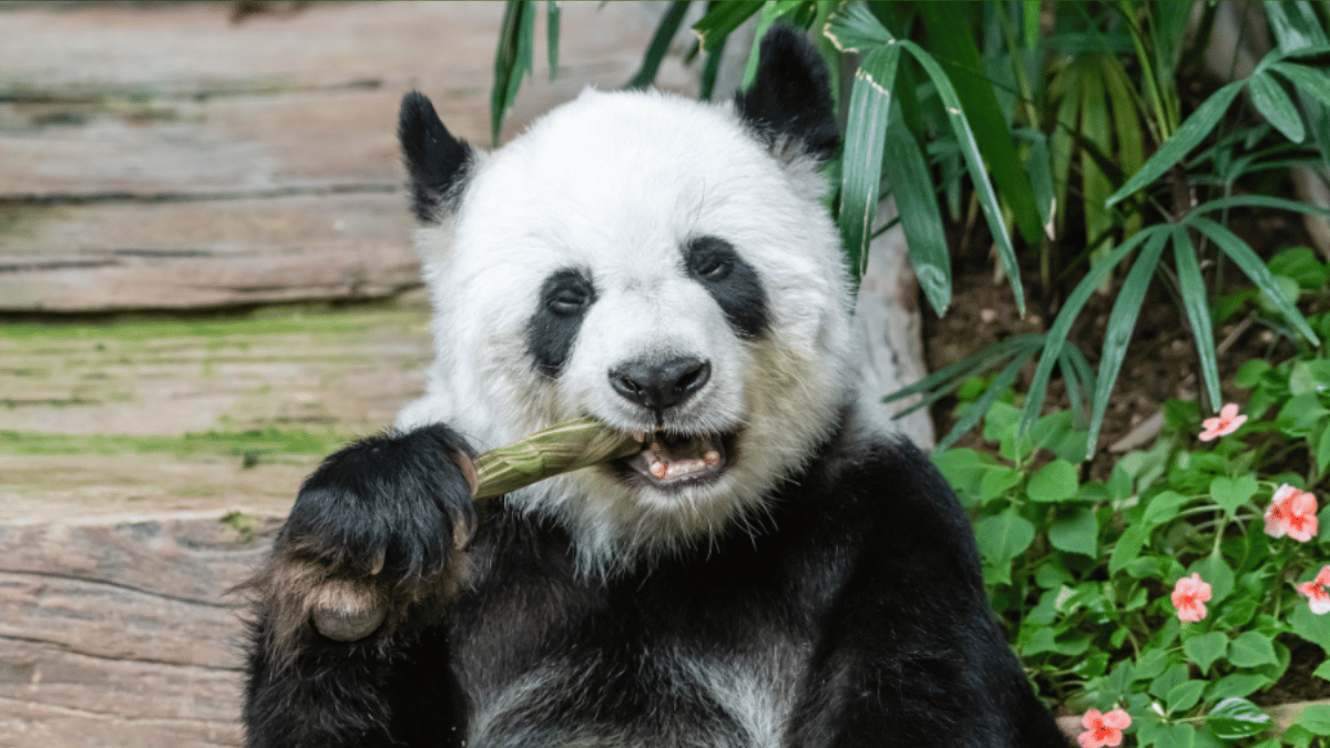 Representative Image (Source: Pexels)