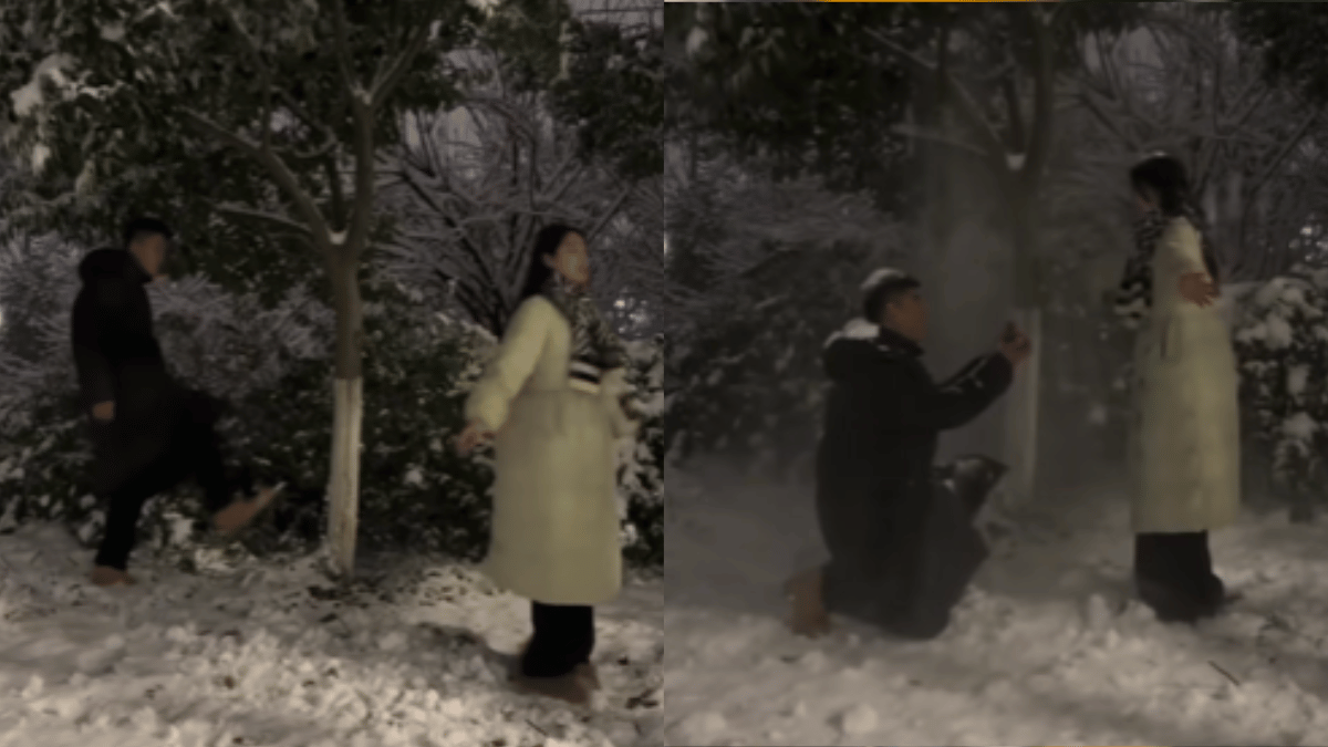 man-snowy-proposal-to-partner-reminds-internet-of-hollywood-rom-coms-viral-video