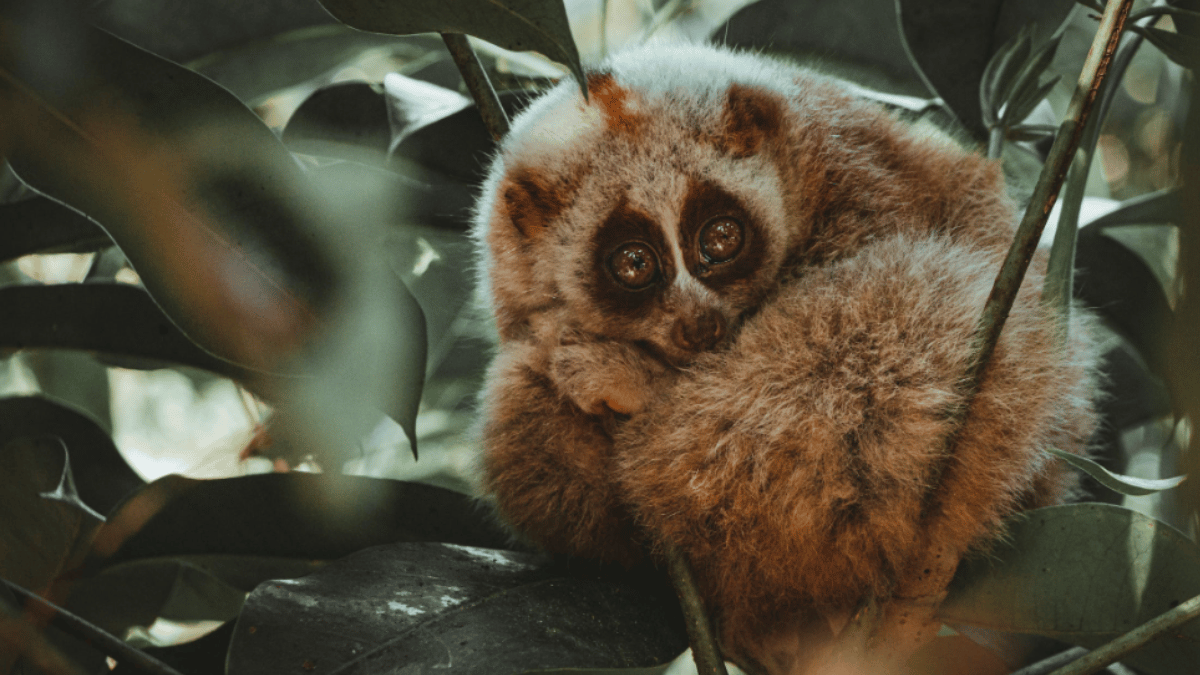 Representative Image (Source: Pexels)