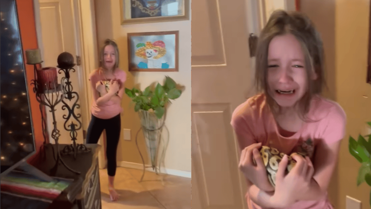 young-girl-reaction-to-finding-her-lost-pet-snake-leaves-internet-with-mixed-feelings-watch-viral-video