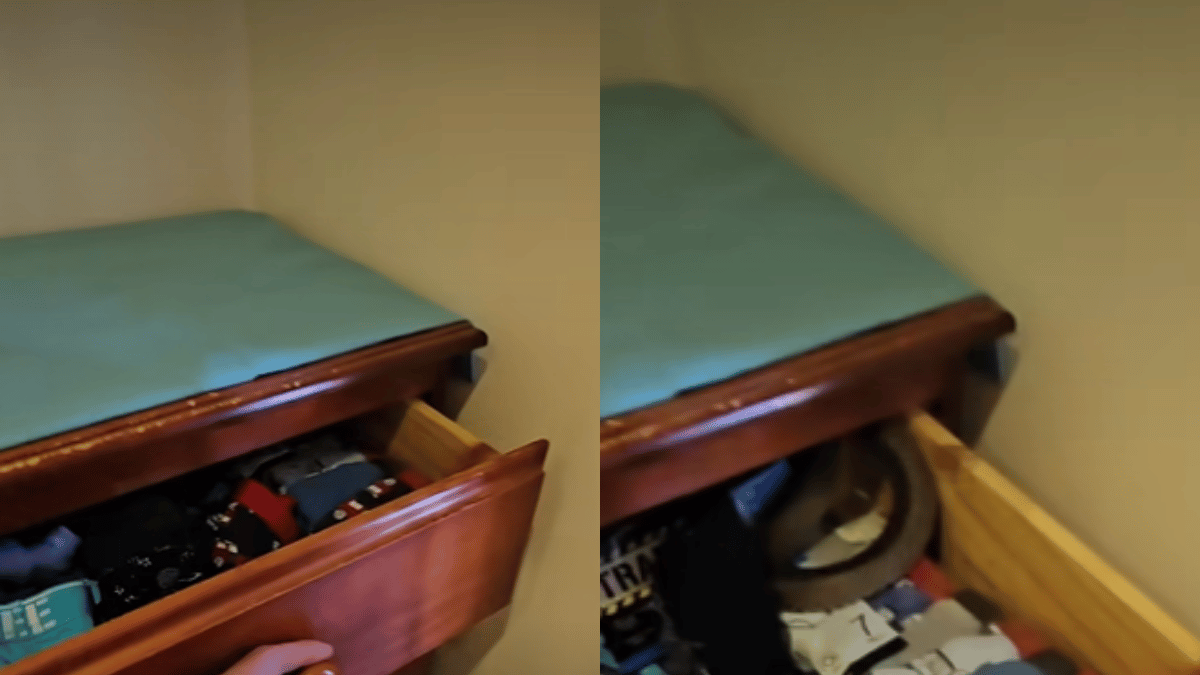 viral-video-australian-woman-finds-5-foot-long-venomous-snake-in-her-3-year-old-son-drawer-internet-terrified