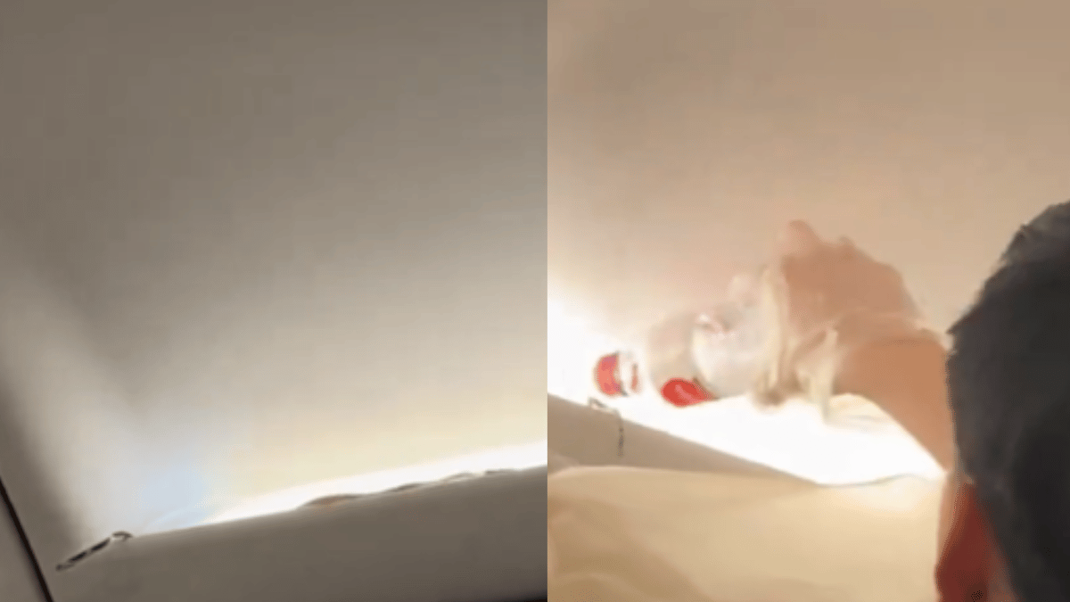 snake-on-the-plane-unexpected-traveller-triggers-chaos-on-thai-airasia-cabin-crew-attempts-to-capture-it-in-bottle