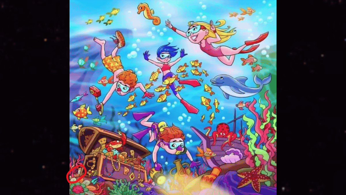 You Must Have A Sharp Vision To Spot The Diver’s Lost Shoe In Under 12 Seconds. (Source: WWW.FRESHERSLIVE.COM)