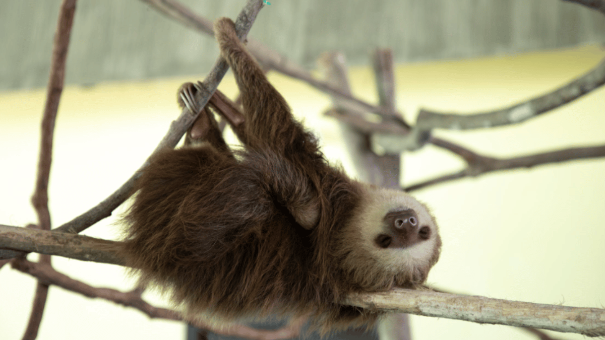 Representative Image (Source: Pexels)