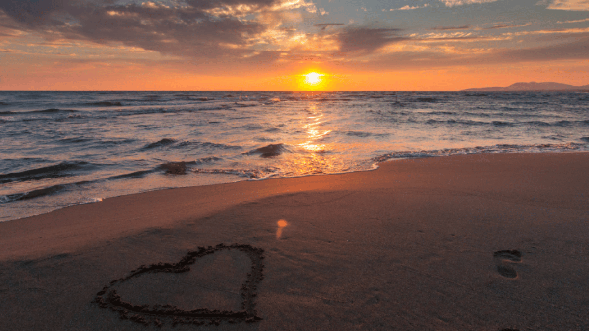 Representative Image (Source: Pexels)