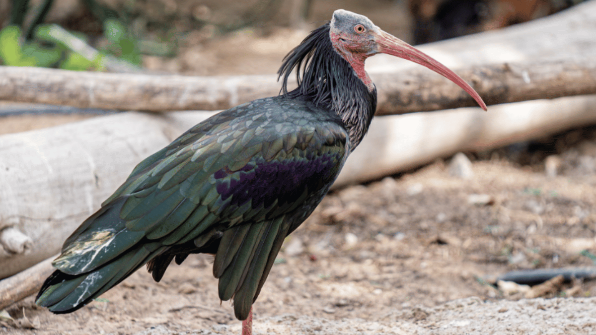 Representative Image (Source: Pexels)