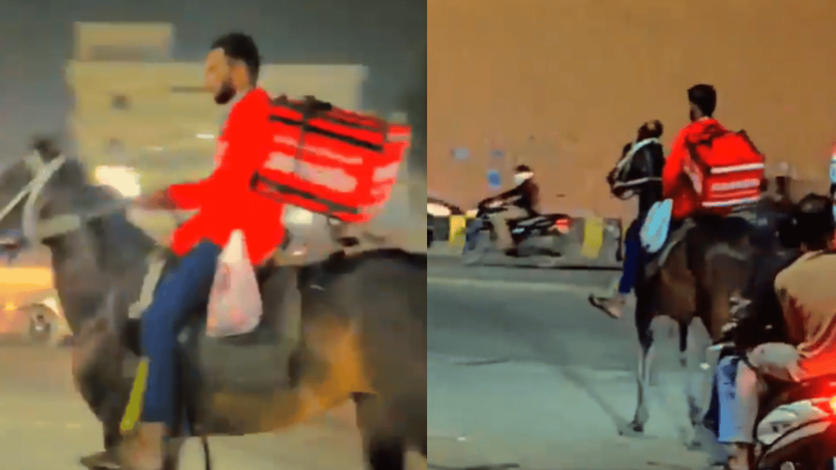 telangana-zomato-delivery-boy-rides-horse-to-work-reason-leaves-netizens-feeling-relatable-watch-viral-video