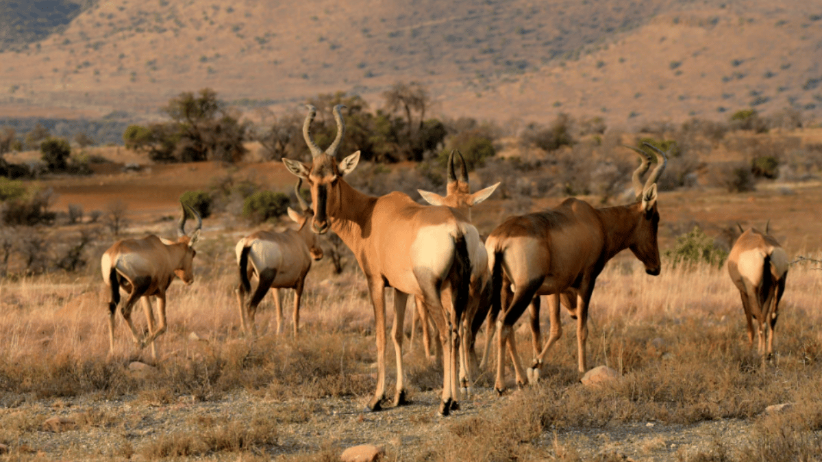 Representative Image (Source: Pexels)