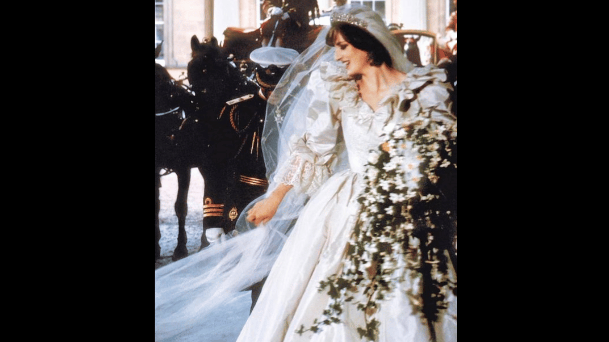 (Source: ElonMuskOPD/ X)