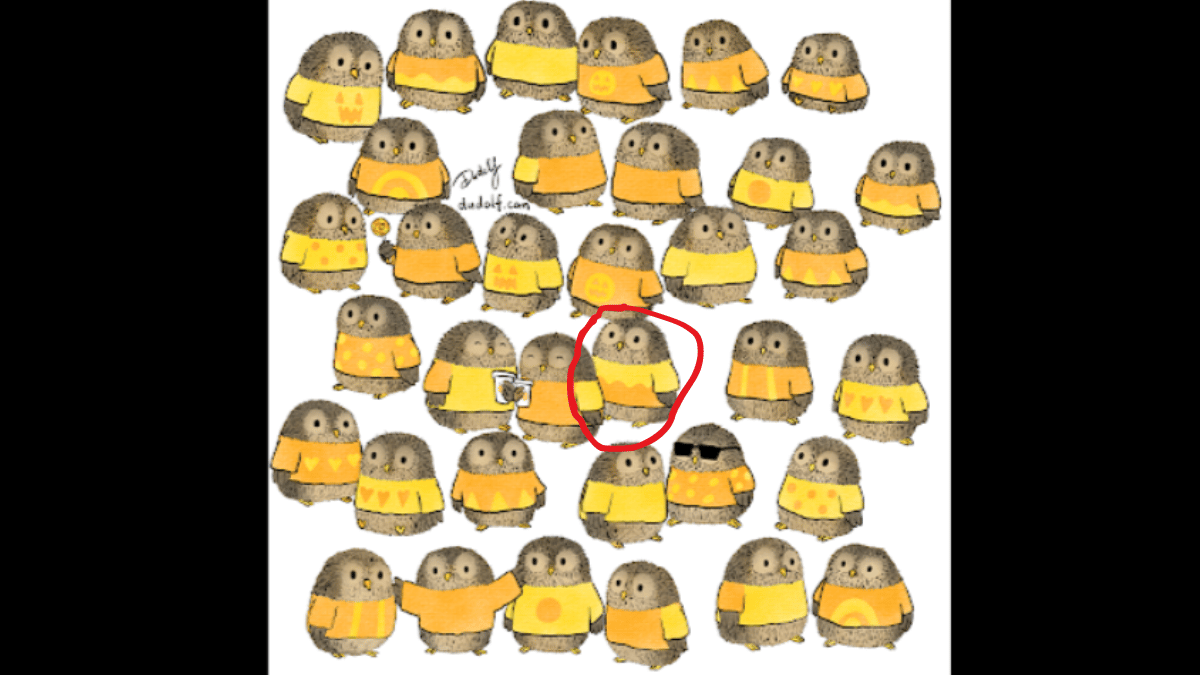 Spot the owl with the unique sweater in under 15 seconds. (Source: GERGELY DUDÁS - DUDOLF)