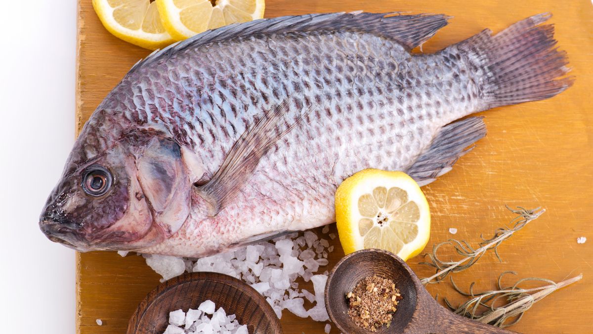 5 Effective Health Benefits Of Eating Talapia Fish