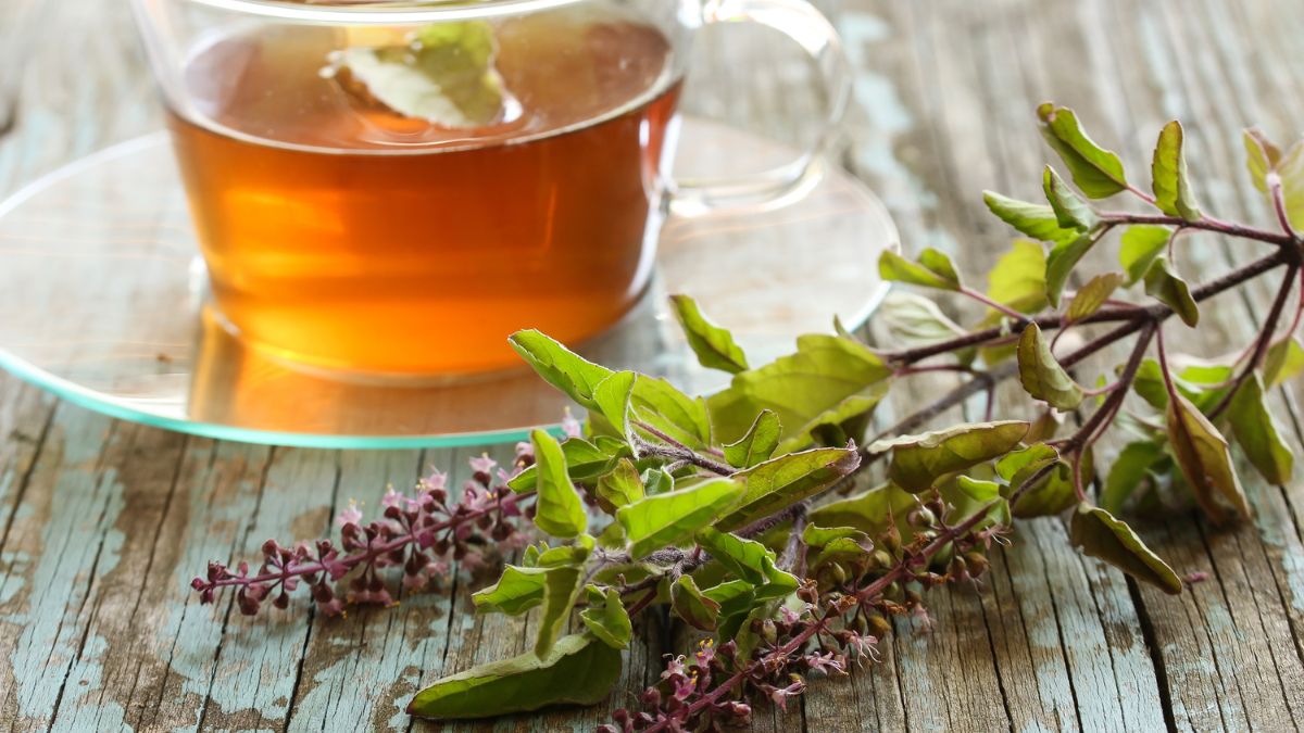 5 Benefits Of Drinking One Glass Of Lukewarm Tulsi Water Every Day