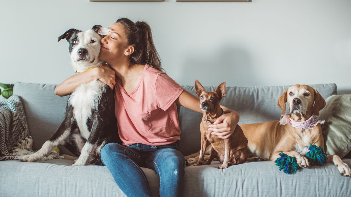 5-benefits-of-keeping-pets-in-your-home-as-per-vastu-principles