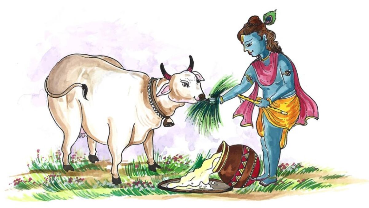 Why Sanatan Dharma Emphasises Cow Worship Or Gau Sewa Know Benefits Of   Benefits Of Worshipping Cows Hinduism1705062739997 