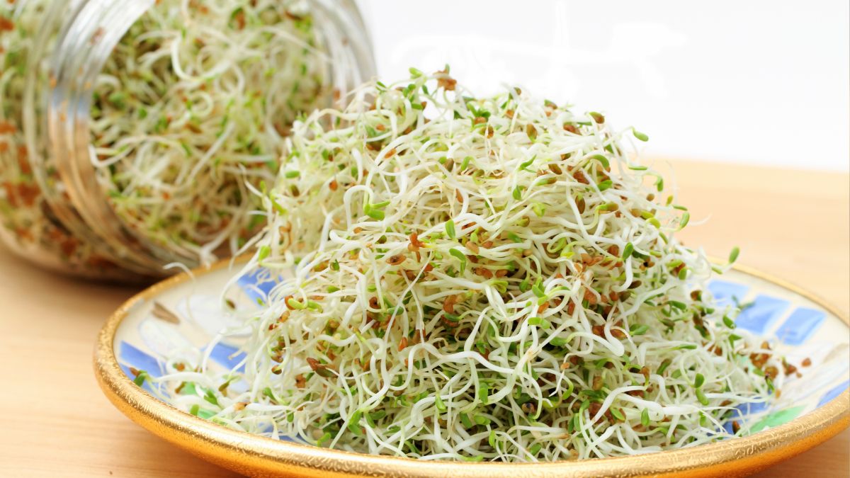 5 Amazing Health Benefits Of Eating Sprouts In Breakfast