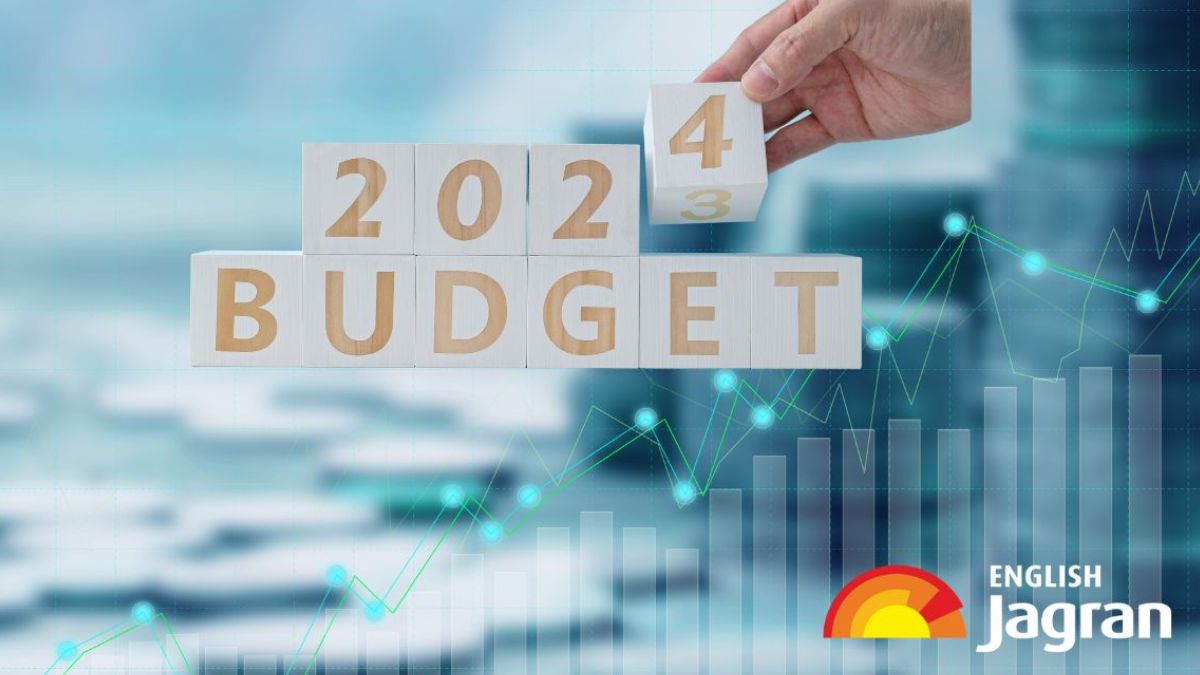 Budget 2024 Healthcare Sector Demands Increase In Budget Allocation   Budgetaninews1706344015758 