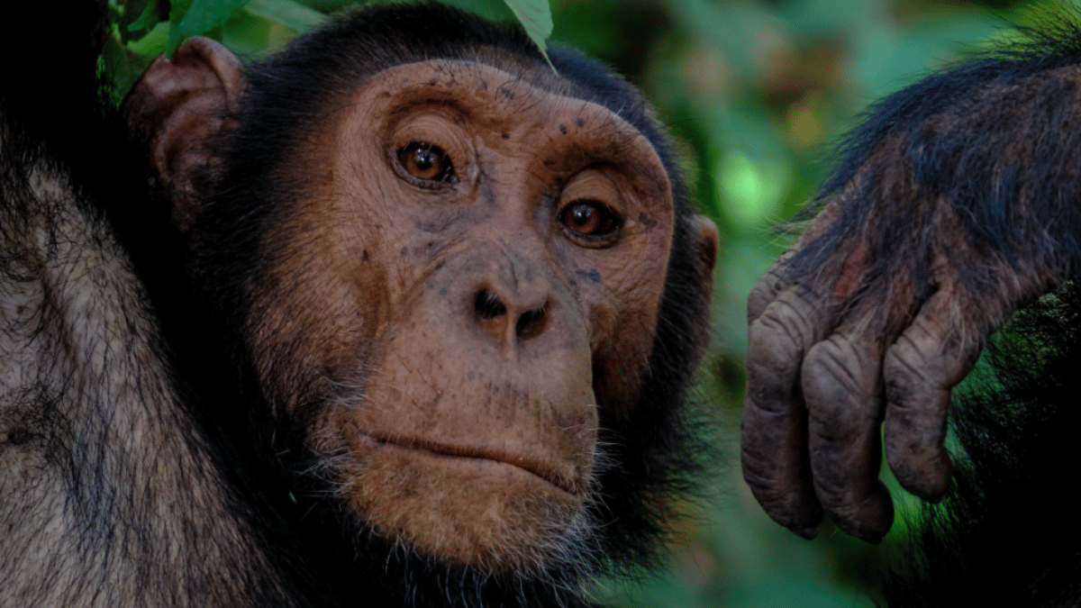 Representative Image (Source: Pexels)