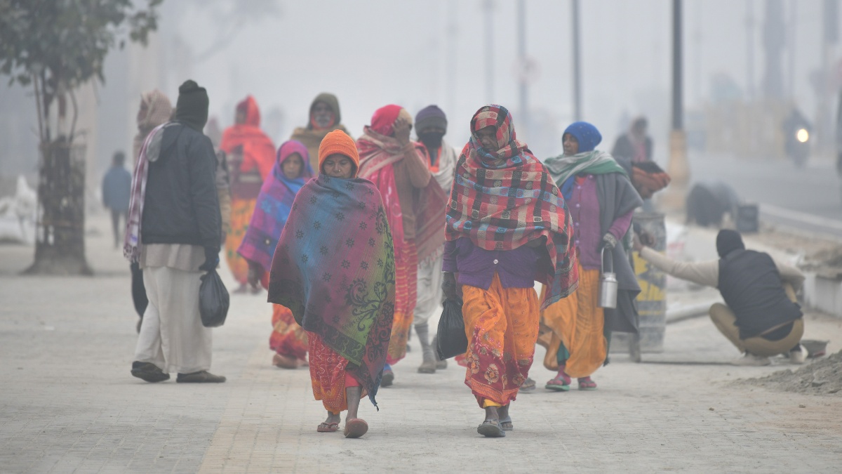 Delhi Weather Cold Wave Continues To Grip NCR; Several Trains, Flights