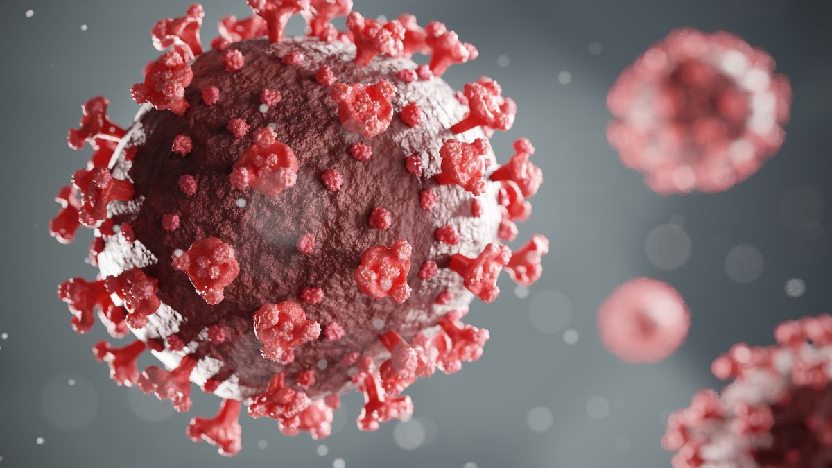 covid19-updates-coronavirus-cases-in-india-jn-1-sub-variant-covid-cases-state-wise-tally-coronavirus-in-india-latest-news-covid