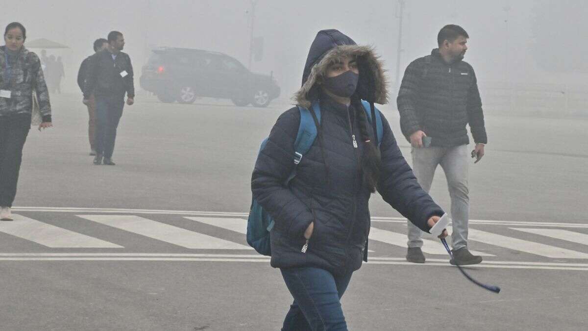 Republic Day Weather Forecast Dense Fog Likely To Engulf Delhi On