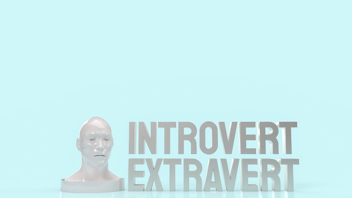 Introverdst1704169820062 