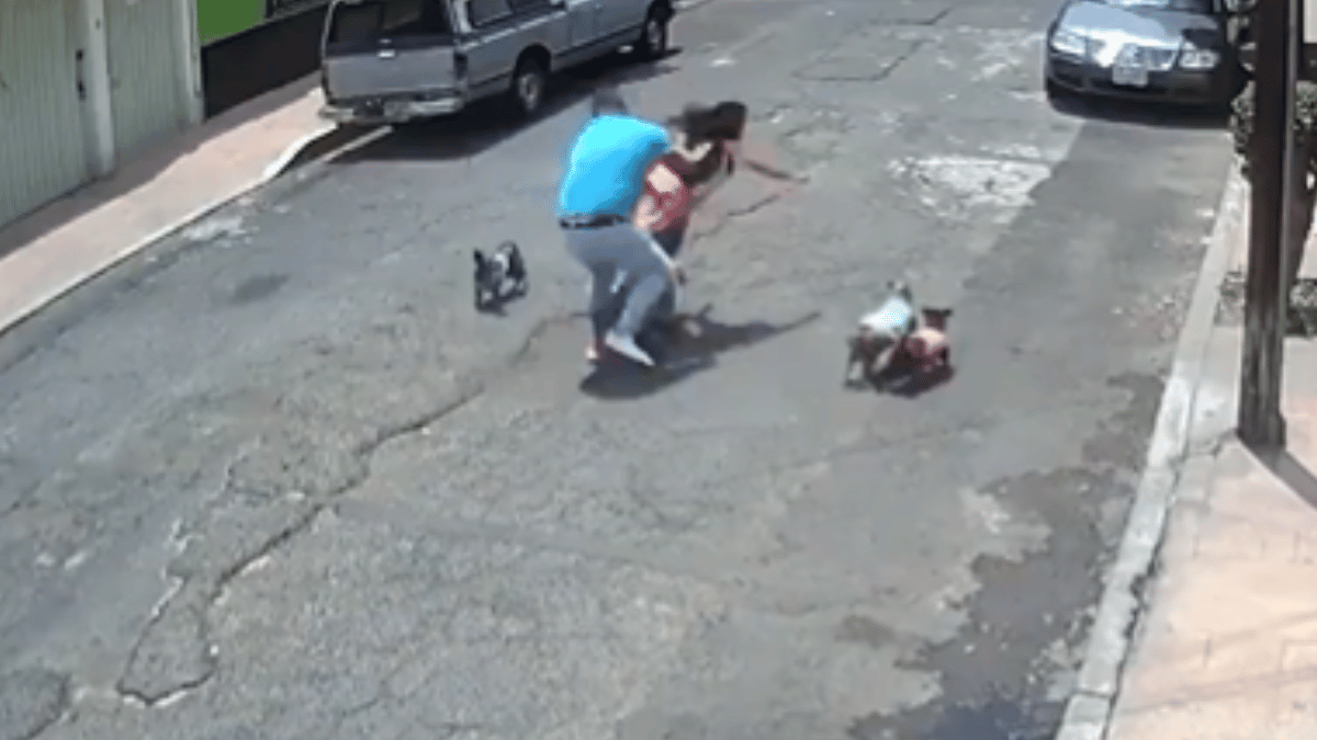 viral-video-man-walking-three-unleashed-dogs-attacks-woman-and-her-leashed-pet-confused-internet-asks-for-reason-watch