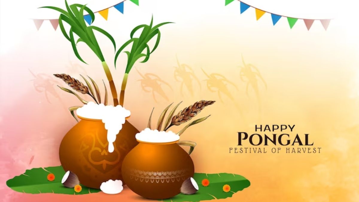 Artist Pranali - India celebrates a variety of festivals due to the large  diversity of India and Pongal(in TamilNadu although it's known by many  names across the country) is one among them