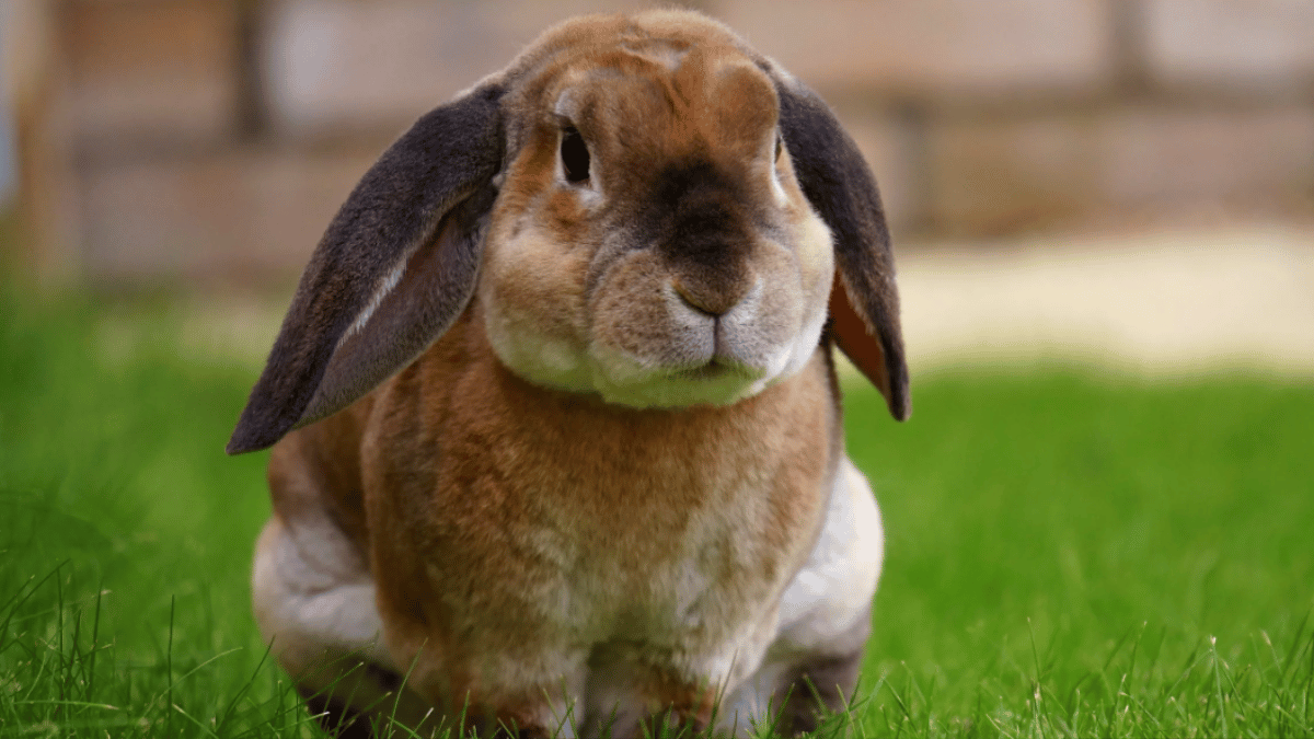 Representative Image (Source: Pexels)