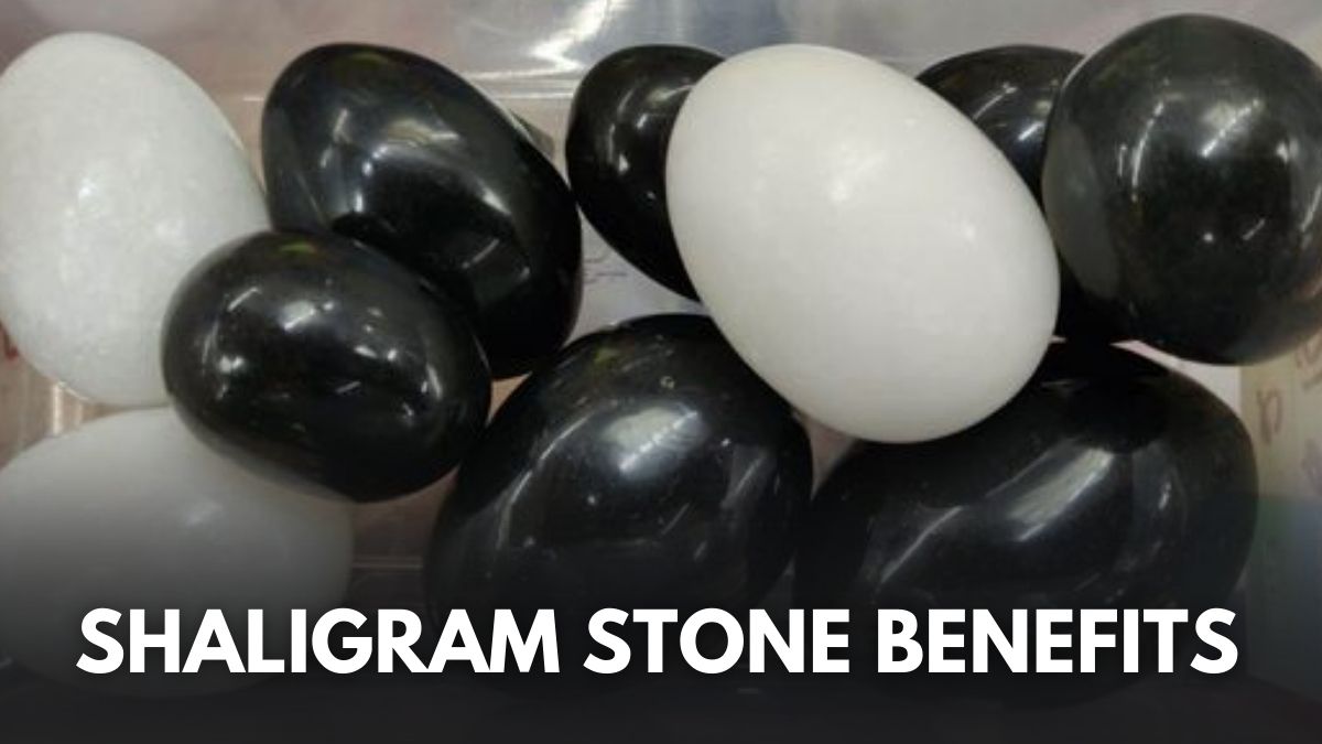 shaligram-stone-significance-and-benefits-of-worshipping-this-pious-stone-in-sanatan-dharma